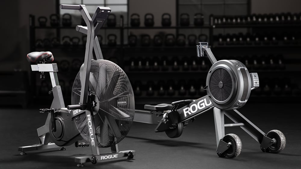 Rogue Echo Rower Rowing Machine Rogue Fitness